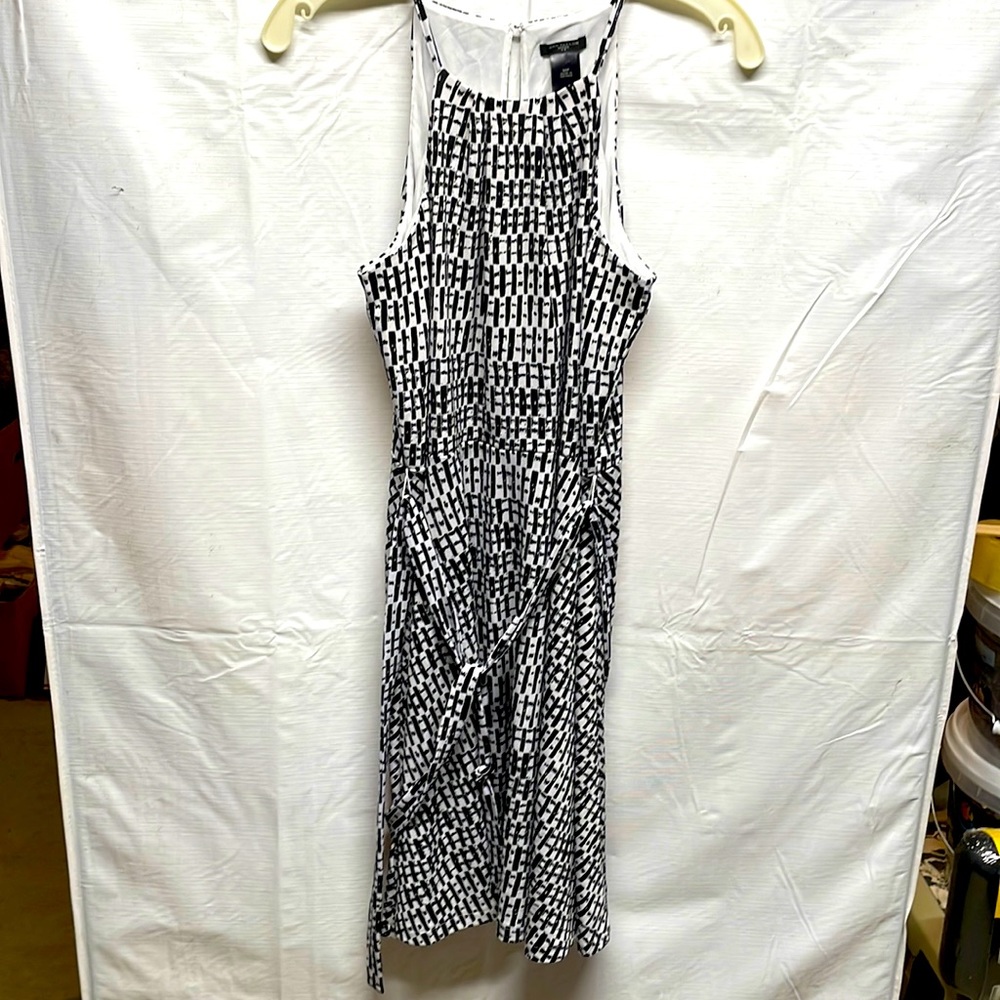 Ann Taylor Dress
